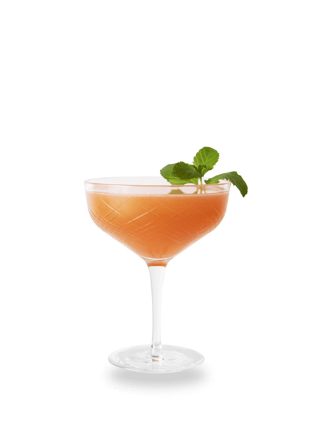 Old-Cuban-mit-Landapfel - Cocktail Rezeptur von Drink Syndikat