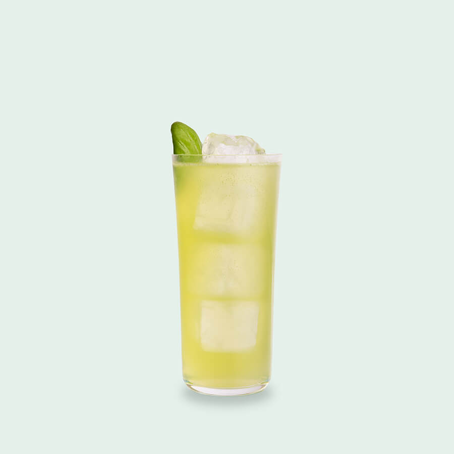 Cocktails mit Gin bei Drink Syndikat - Elderflower Basil Fizz
